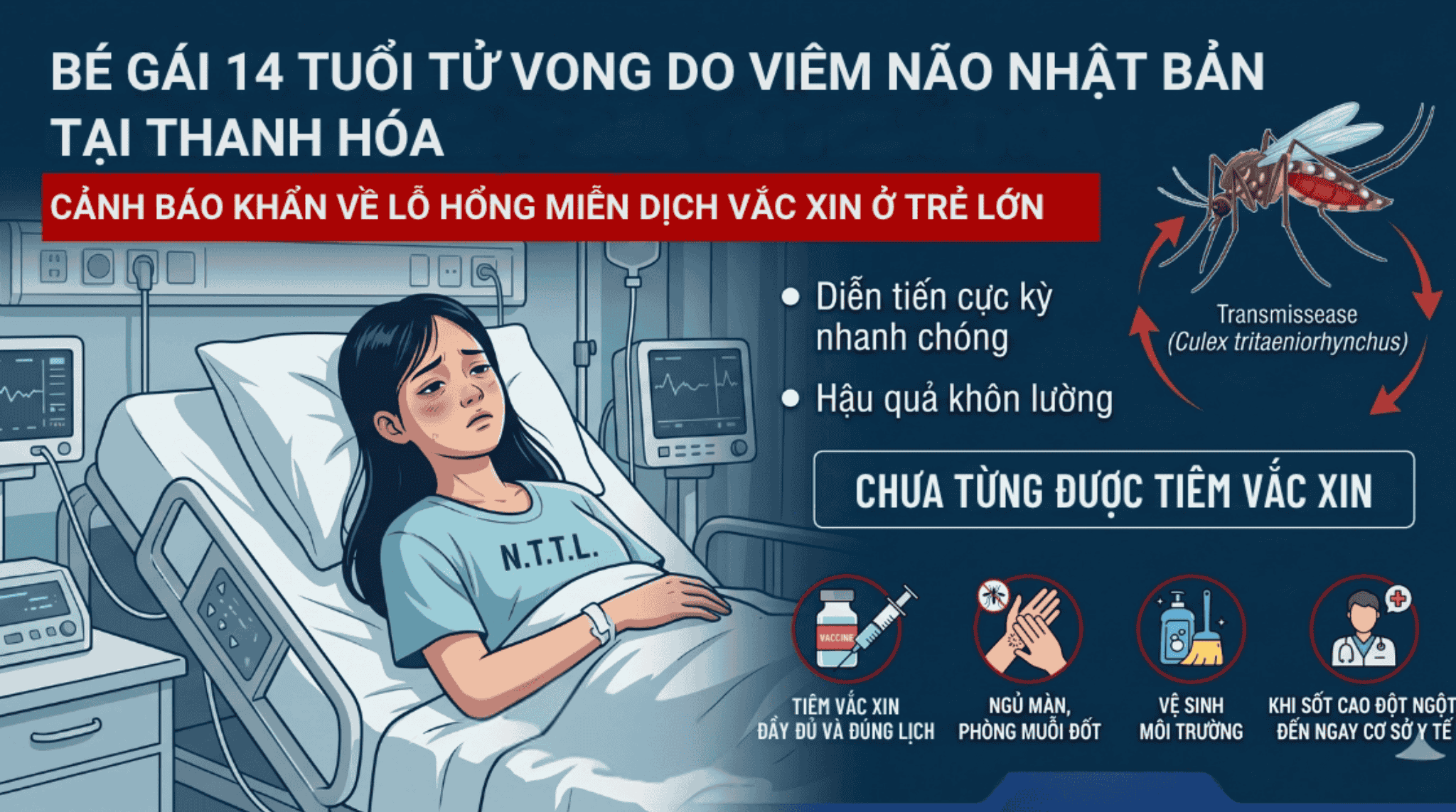 web vnnb 1